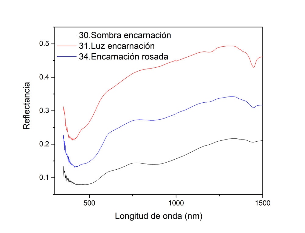 En el caso de las encarnaciones los únicos pigmentos que se pueden observar con la técnica FORS son los óxidos de hierro. Imagen y análisis: Miguel Maynez, 2020.
