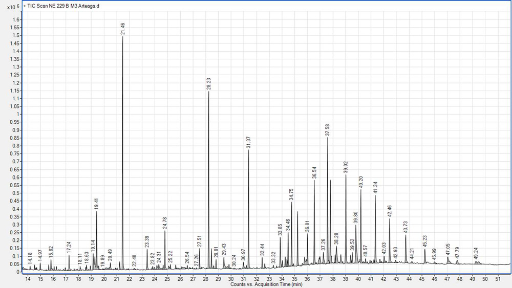 Cromatograma con el perfil de compuestos identificados mediante cromatografía de gases acoplada a espectrometría de masas.