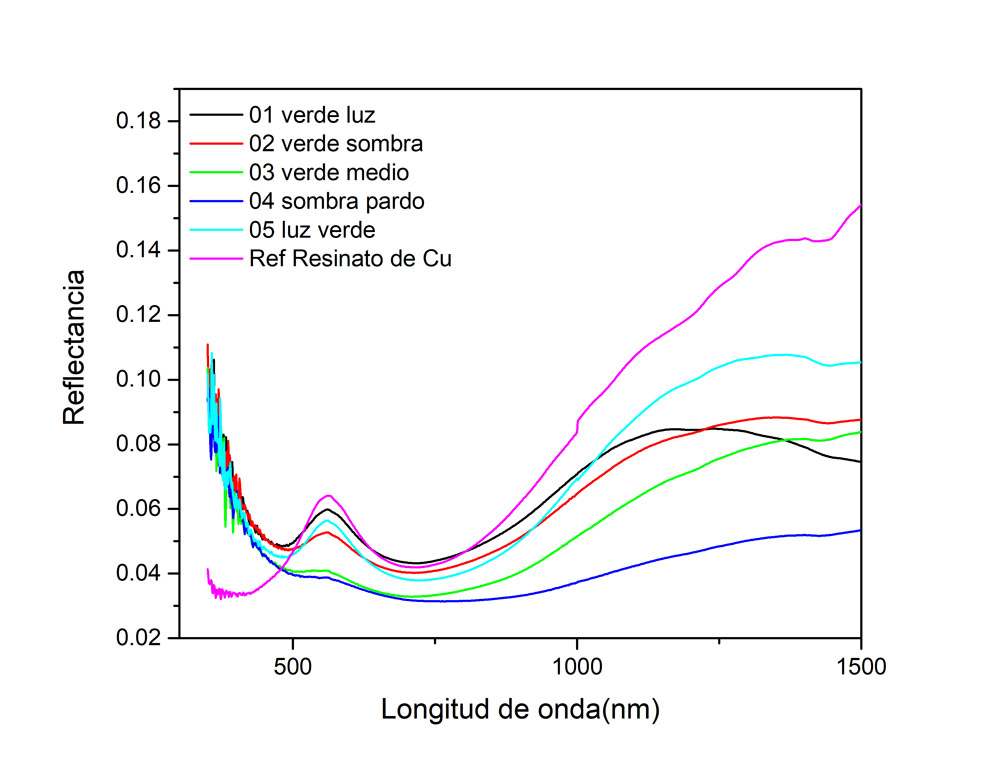 Los espectros tienen correspondencia con la referencia de resinato de cobre, lo que coincide con las observaciones derivadas del análisis microscópico de las secciones transversales (muestra 3). Debido a la diferencia de envejecimiento entre los materiales originales y las referencias, la intensidad de los espectros ha sido recortada en el eje de la reflectancia. Imagen y análisis: Miguel Maynez, 2020.