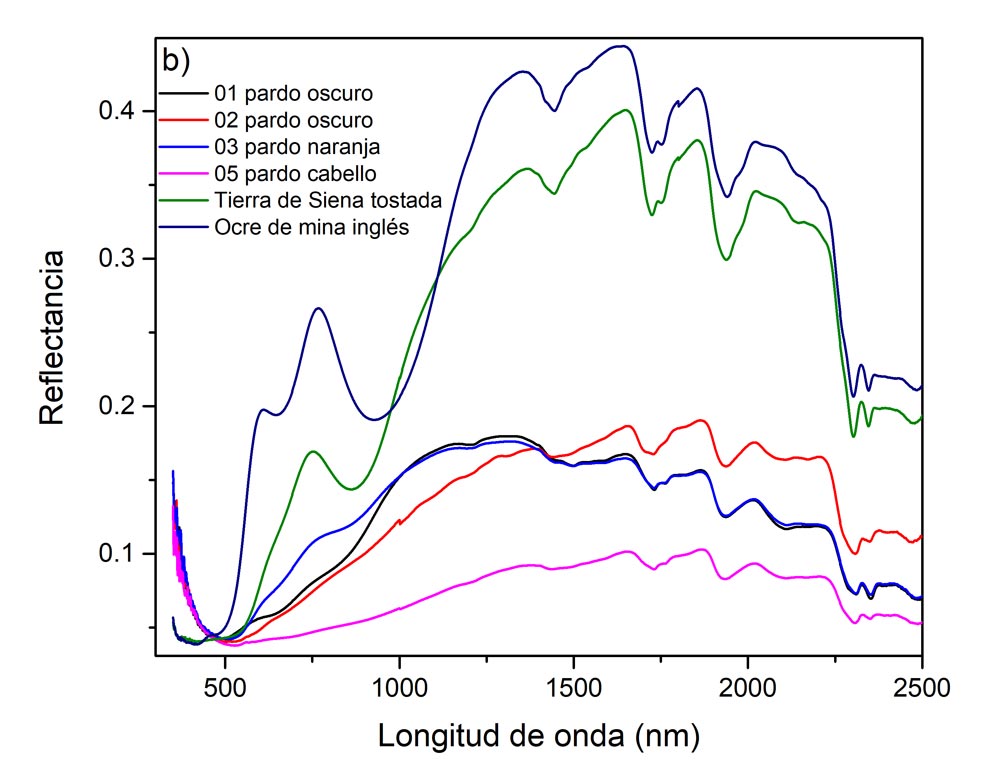 b) Espectros FORS zonas pardas. Los colores pardos corresponden con óxidos de hierro en distintos compuestos que se comparan con las referencias de la tierra de Siena tostada (Kremer 40430) y ocre (Kremer 40191). En general las bandas características de este tipo de compuestos se localizan en 600 nm y 800 nm con diferencias de 10 nm dependiendo de la composición específica del lugar de origen de la materia prima. Imagen y análisis: Miguel Maynez, 2020.