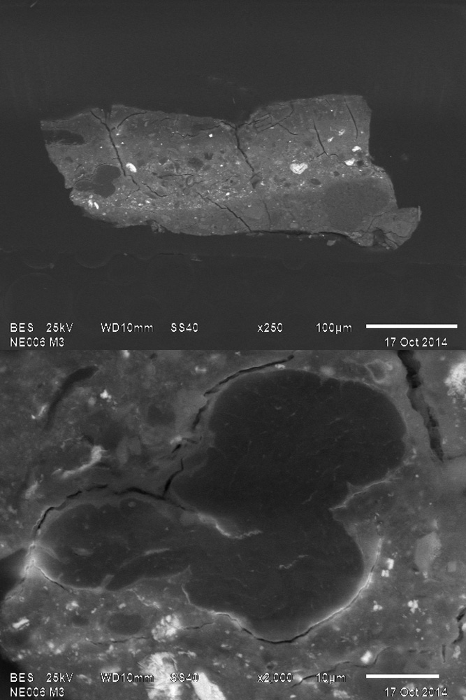 Muestra 3, imagen de electrones retrodispersados (MEB), 250 y 2000X